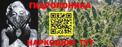 Альфа ПВП Пыть-Ях