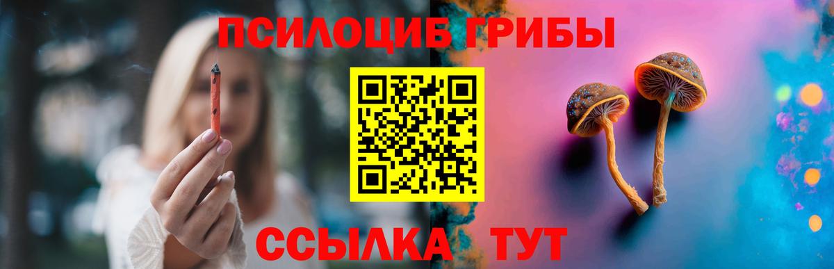 Сызрань  Галлюциногенные грибы GOLDEN TEACHER  Вход с VPN  Псилоцибиновые грибы GOLDEN TEACHER 